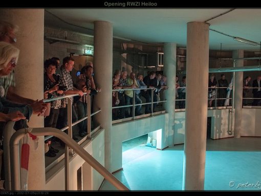 publiek 8